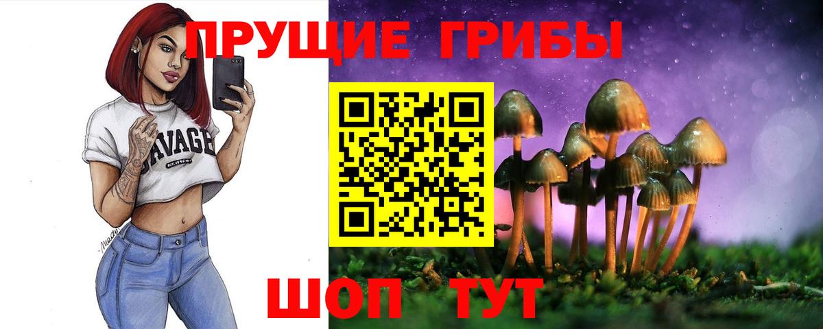 Галлюциногенные грибы Psilocybe Южноуральск